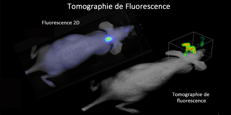 Illustration de la tomographie 3D